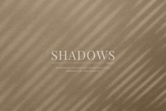 50 Shadow Overlays 01 Plants and Windows Product Image 4