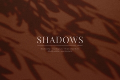 50 Shadow Overlays 01 Plants and Windows Product Image 5