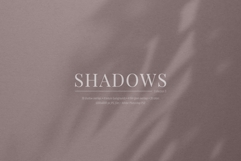 30 Shadow Overlays 03 Botanical Shadows Plants Branches Product Image 3