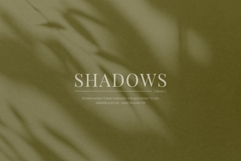 30 Shadow Overlays 03 Botanical Shadows Plants Branches Product Image 5