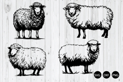Shaggy Sheep SVG, Sheep SVG, Animal SVG Product Image 1
