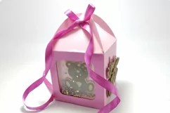 Shaker Box Baby Girl Bear svg template shaker box baby shower sv for cricut and silhoette cameo bear baby girl gift box gender reveals box with window