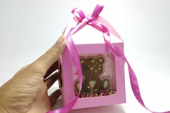 Shaker Box Baby Girl Bear svg template shaker box baby shower sv for cricut and silhoette cameo bear baby girl gift box gender reveals box with window