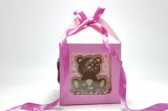 Shaker Box Baby Girl Bear svg template shaker box baby shower sv for cricut and silhoette cameo bear baby girl gift box gender reveals box with window