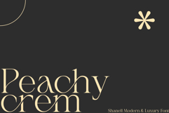Shanell - Modern &amp; Luxury Serif Font Product Image 4