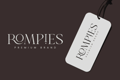 Shanell - Modern &amp; Luxury Serif Font Product Image 5