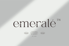 Shanell - Modern &amp; Luxury Serif Font Product Image 6