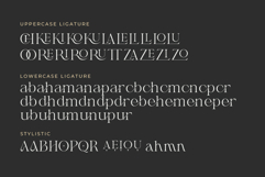 Shanell - Modern &amp; Luxury Serif Font Product Image 8
