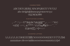 Shanell - Modern &amp; Luxury Serif Font Product Image 9