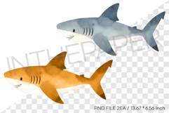Grey Yellow Shark PNG Clipart Summer Ocean Watercolor Illust Product Image 1