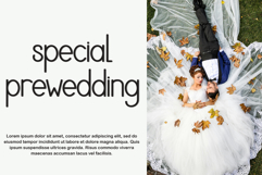 Shasta Product Image 4