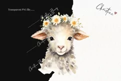 Watercolor Baby Sheep Clipart | Watercolor Animal PNG Product Image 2