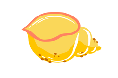 Hand-Drawn Summer Ocean Seashells Clipart Set Product Image 3