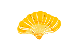 Hand-Drawn Summer Ocean Seashells Clipart Set Product Image 4