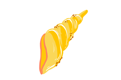 Hand-Drawn Summer Ocean Seashells Clipart Set Product Image 5