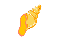 Hand-Drawn Summer Ocean Seashells Clipart Set Product Image 7