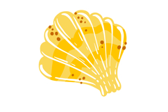 Hand-Drawn Summer Ocean Seashells Clipart Set Product Image 2