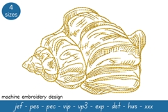 Shell sketch embroidery design 8 - Machine Embroidery Design Product Image 1