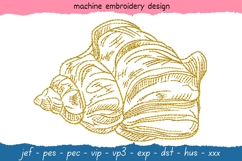 Shell sketch embroidery design 8 0 sea shell embroidery - sketch embroidery pattern