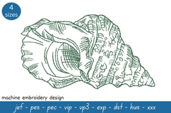 Shell sketch embroidery design 9 - Machine Embroidery Design Product Image 1