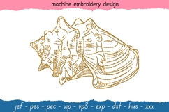 Shell sketch embroidery design - sea shell embroidery - sketch embroidery pattern