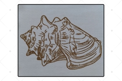 Shell sketch embroidery design - sea shell embroidery - sketch embroidery pattern 2