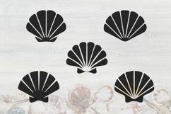 Sea Shells SVG Product Image 1