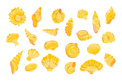 Hand-Drawn Summer Ocean Seashells Clipart Set Product Image 1