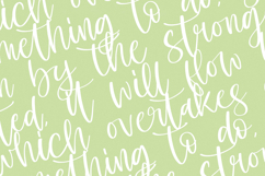 Shelter Melody - Handwritten Script Font Product Image 13