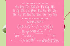 Shelter Melody - Handwritten Script Font Product Image 18