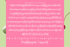 Shelter Melody - Handwritten Script Font Product Image 19