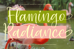 Shelter Natural - Natural Handwritten Font Product Image 12