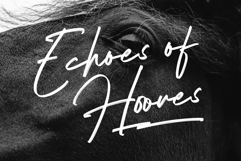 Shelvia Montanila - Beauty Font Duo Product Image 4