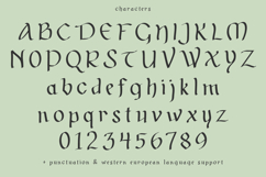 Shenanigans Irish Font Product Image 10