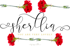 Beautiful Special Bundle Product Image 25
