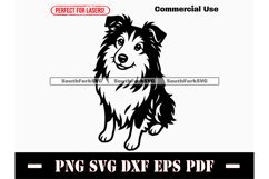 Shetland Sheepdog Begging Design SVG PNG DXF EPS PDF Product Image 1