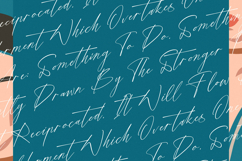 Shillueta Fantture - Modern Signature Script Font Product Image 9