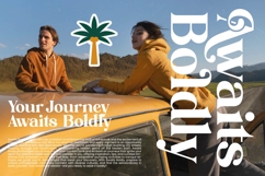 Shine Dailys - Groovy Serif Display Font Product Image 8