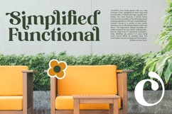 Shine Dailys - Groovy Serif Display Font Product Image 11