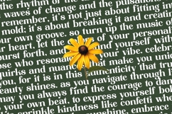 Shine Dailys - Groovy Serif Display Font Product Image 15