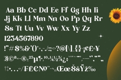 Shine Dailys - Groovy Serif Display Font Product Image 18