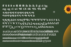 Shine Dailys - Groovy Serif Display Font Product Image 19