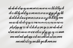 Shinerak Mottage Modern Handwritten Font Product Image 14