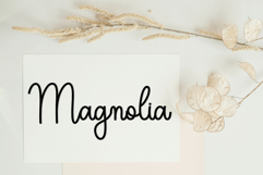 Shining Christmas Product Image 5