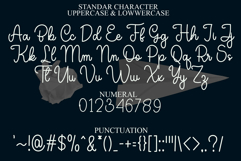 Shining Christmas Product Image 7