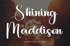 Shining Christmas Product Image 1