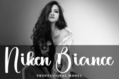 Shining Christmas Product Image 2