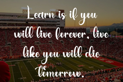 Shining Maddison Product Image 4