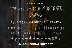 Shinnery - Beauty Handwritten Font Product Image 7