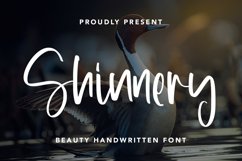 Shinnery - Beauty Handwritten Font Product Image 1
